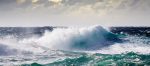 Ballenas Durante La Tormenta