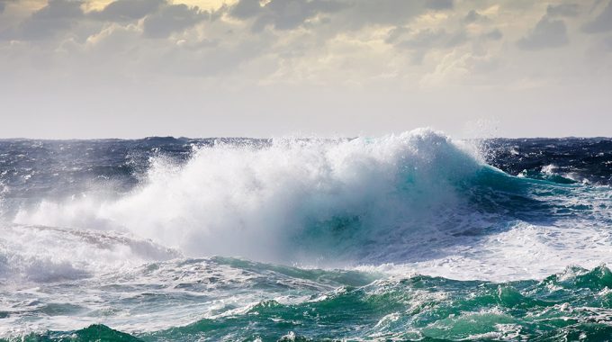 Ballenas Durante La Tormenta