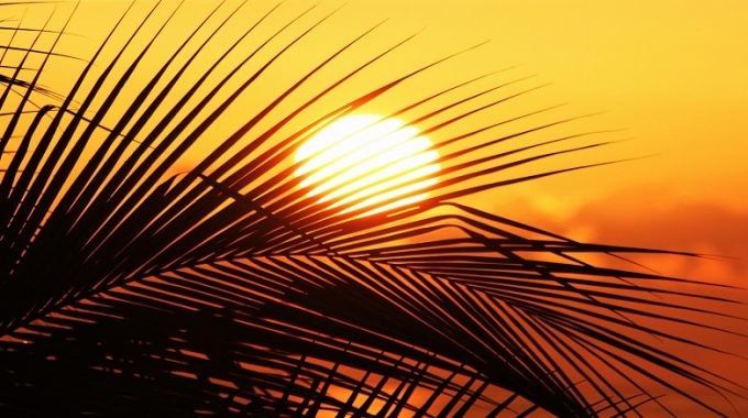 Sol Caribe