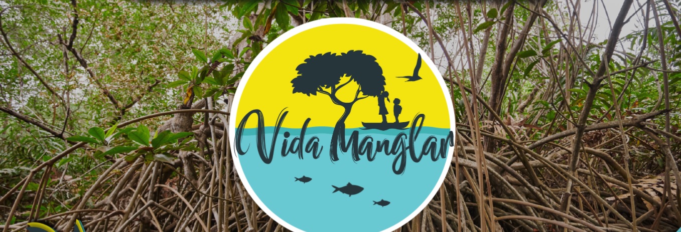 Logo vida manglar