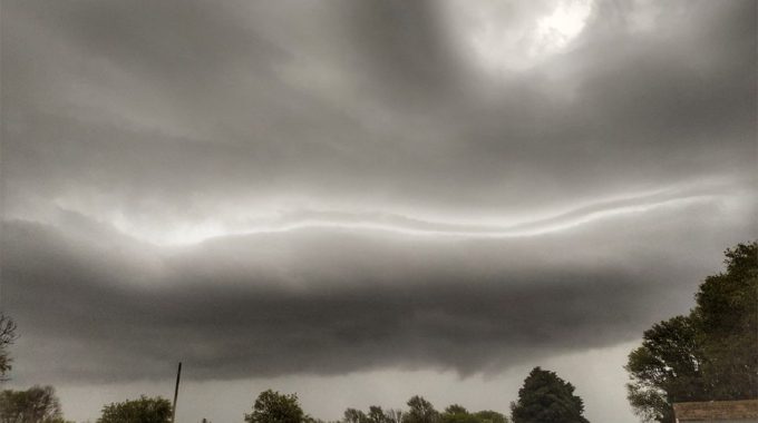 Nubes Cargadas De Agua Y Vientos Sobre Arboles