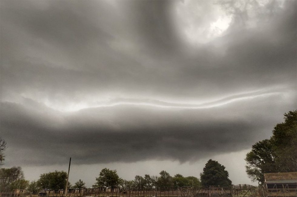Nubes Cargadas De Agua Y Vientos Sobre Arboles