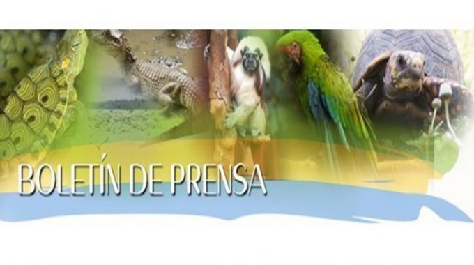 Boletin De Prensa2