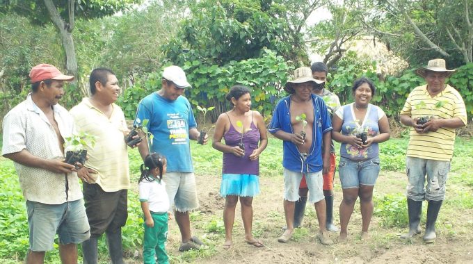 Imagen De Comunidad Indigena En El Campo, Con Arboles Para Sembrar