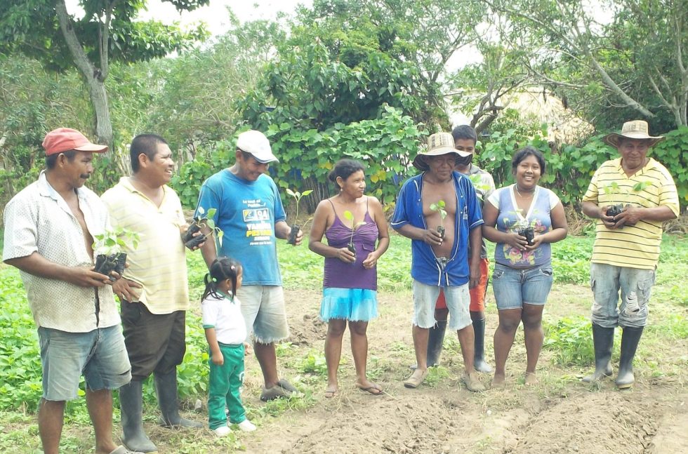 Imagen De Comunidad Indigena En El Campo, Con Arboles Para Sembrar